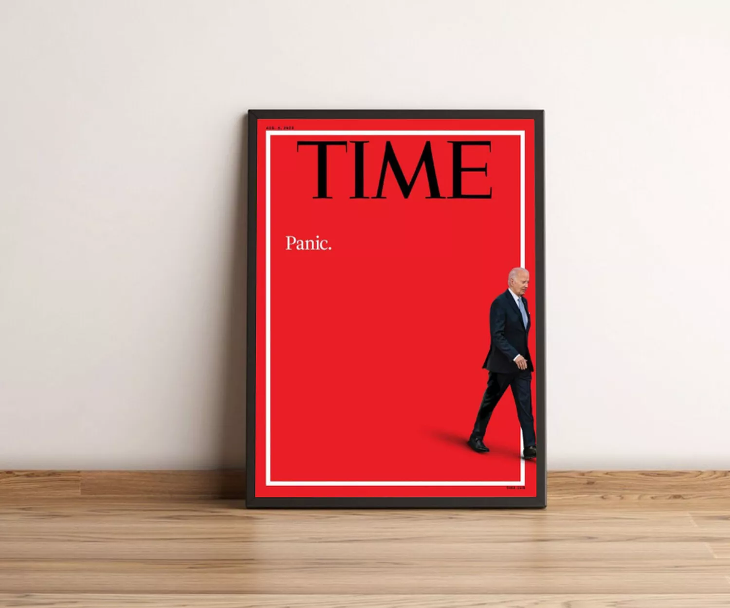 New TIME Magazine Cover Joe Biden Panic Poster